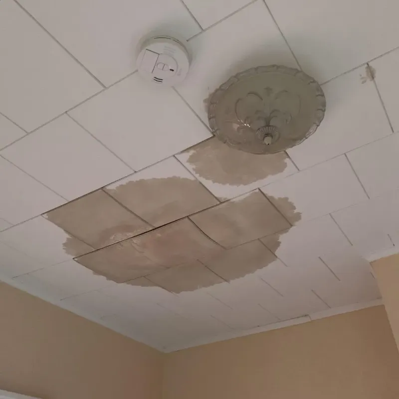 Ceiling Water Damage Repair in Arcola, IL